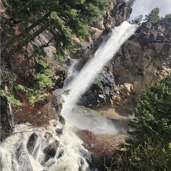 Meet your Posher, Joshua - Picture 12 of 12